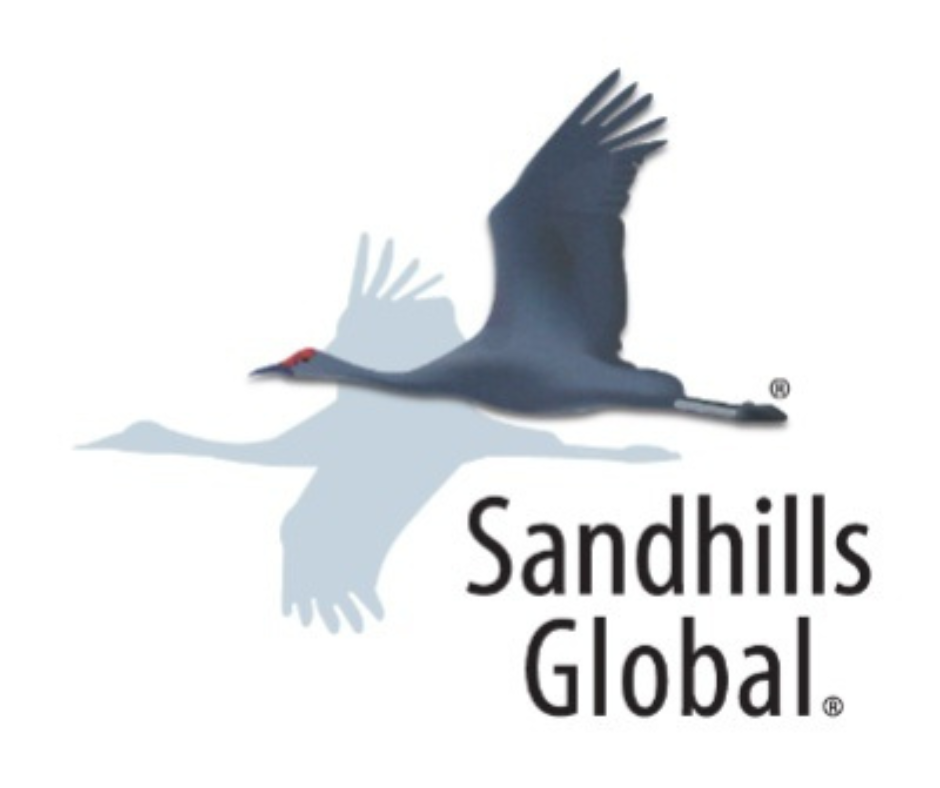 SANDHILLS GLOBAL MARKET REPORTS SHOW GROWING GAP BETWEEN ASKING AND AUCTION VALUES