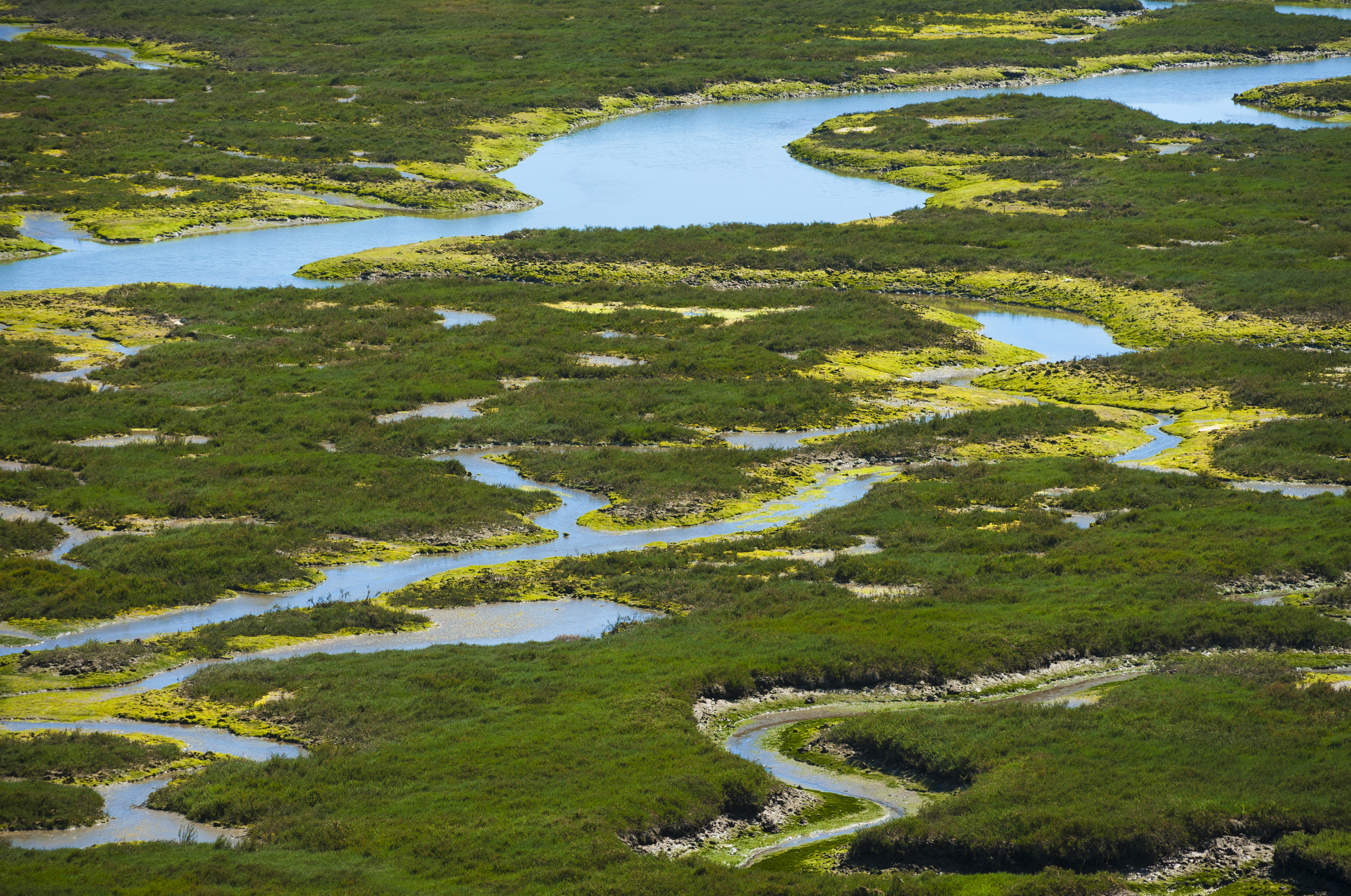 The Conservation Reserve Program : A Win-Win for Land Owners & Conservation