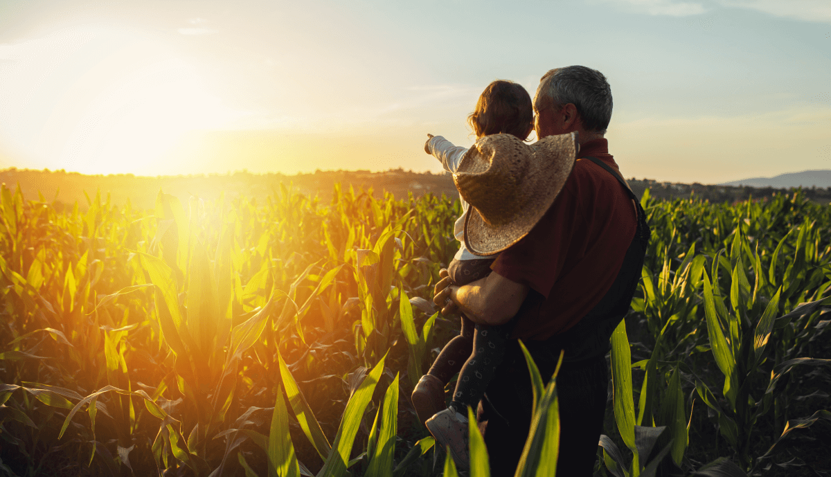 Benefits of Owning a Farm | United Country Real Estate