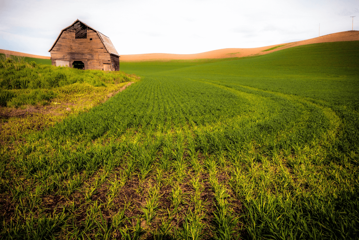 10 Farmland Value Factors You Need to Know  | United Country Real Estate
