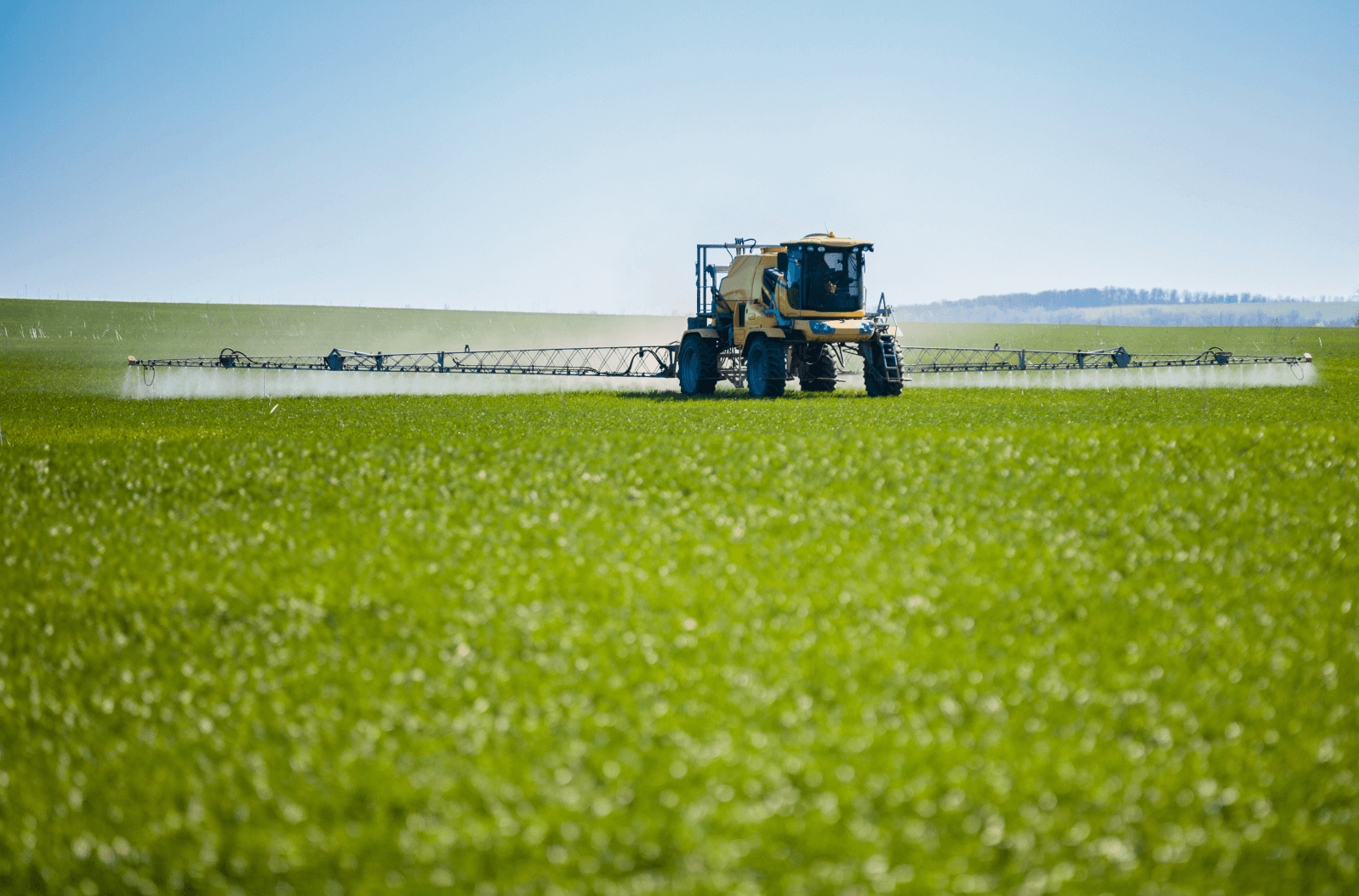From Farm to Table: Are GMOs Safe?
