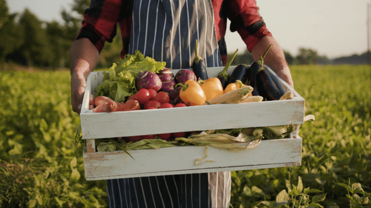 Benefits Of Organic Farming  | United Country Real Estate