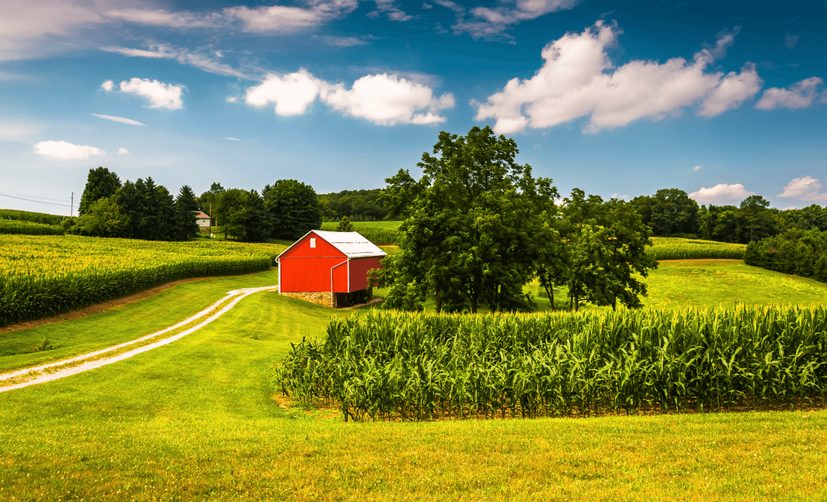 Why Do Old Farmers Tell Us August Is The Best Time To Buy a Farm? 