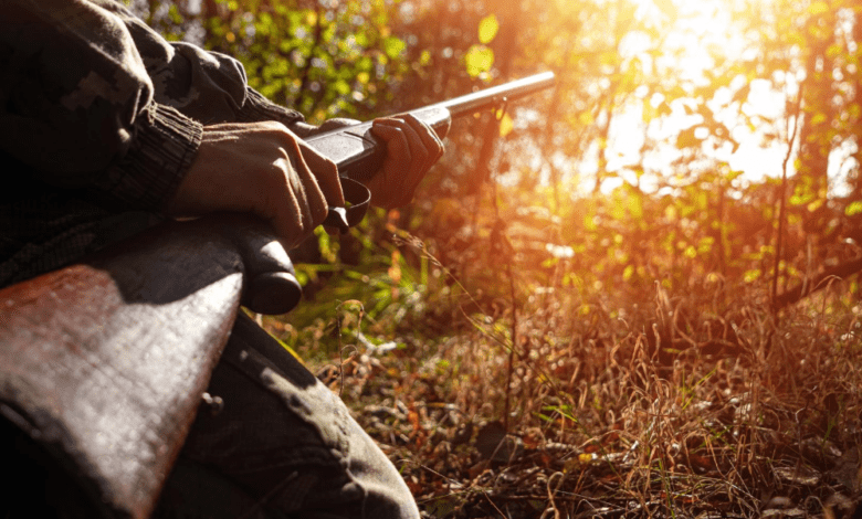 Large Increase Predicted for This Year's Hunting Season